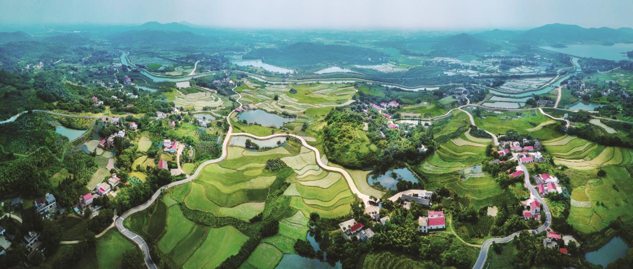 輻射村莊的合肥市農(nóng)村公路網(wǎng)。合肥市交通運(yùn)輸局供圖