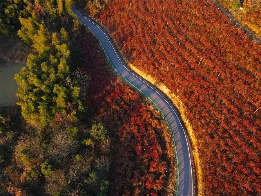 廬江縣集資源路、產(chǎn)業(yè)路、旅游路于一體的“廬南川藏線”。合肥市交通運(yùn)輸局供圖