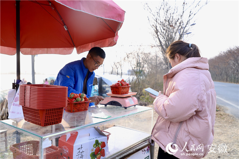 前來(lái)購(gòu)買草莓的顧客絡(luò)繹不絕。人民網(wǎng)記者 陶濤攝