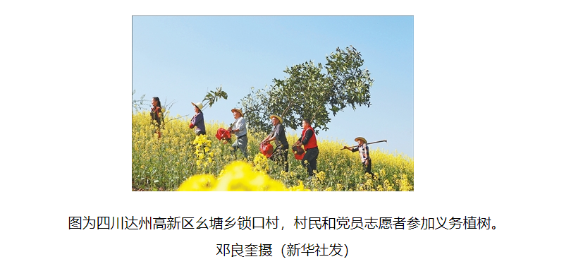 48bc43aa-bac4-4148-8fba-5dcf90af849a.png